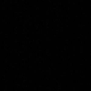 Meet your Posher, Travis